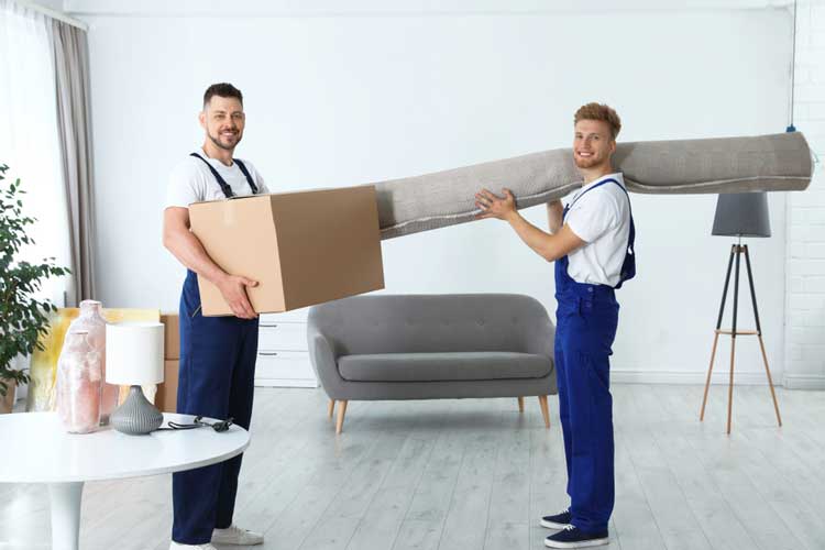 professional moving services