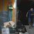 The Guide to Packing and Unpacking a Move